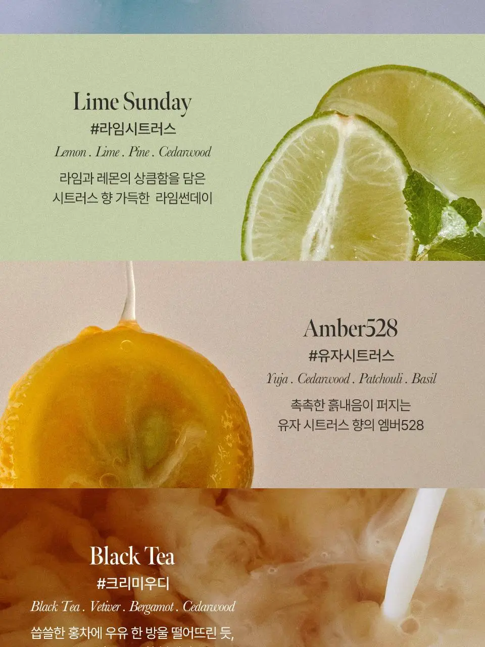 [Gift] 아닐로 오 드 퍼퓸 50ml 8종 택1 상세페이지 9